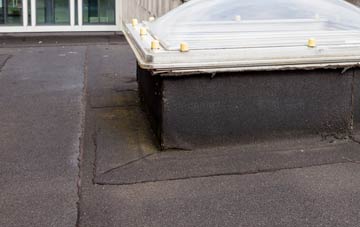 disadvantages of Fairlop flat roofs