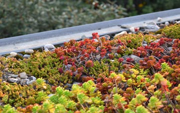the cost of Fairlop green roof installation